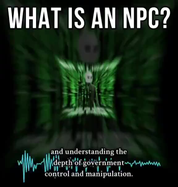 What Is A NPC? | (Tin Foil Hat > Blindfold)