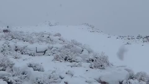 Snowing in Saudi Arabia