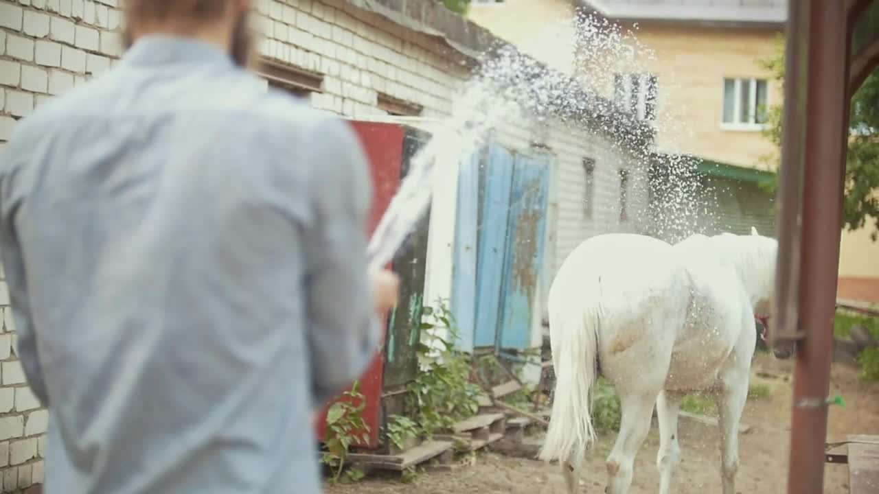 Young man cleaning the horse by a hose with water stream