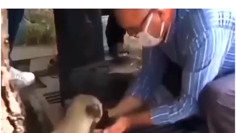 Humanity Still Alive