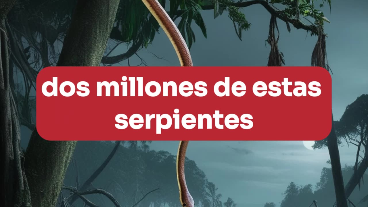 La isla con dos millones de especies de serpientes.