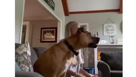 Настоящий болельщик