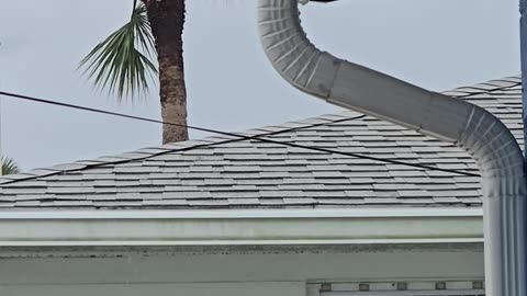 Hurricane Kirk, follow up