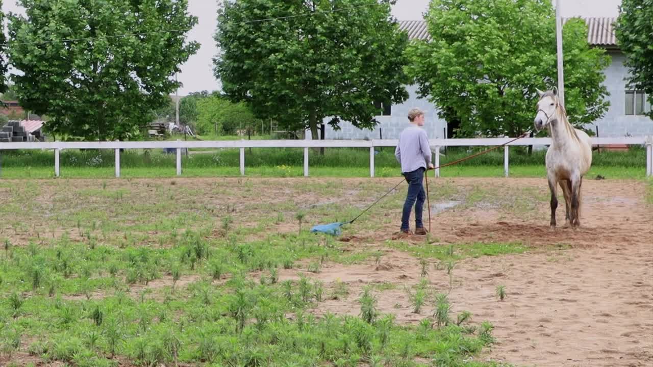 Please Do This With Your Horses! How I Desensitize A Horse To A Plastic Bag (3 Steps)