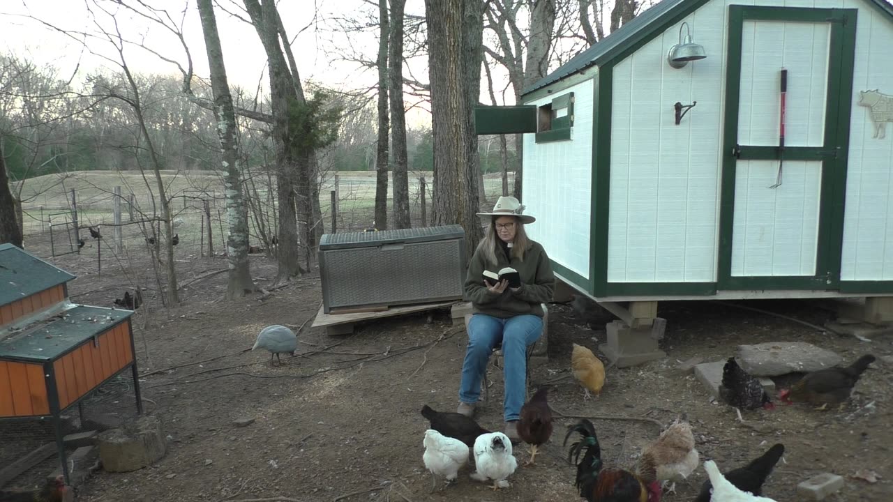 Morning Prayer - Rite II