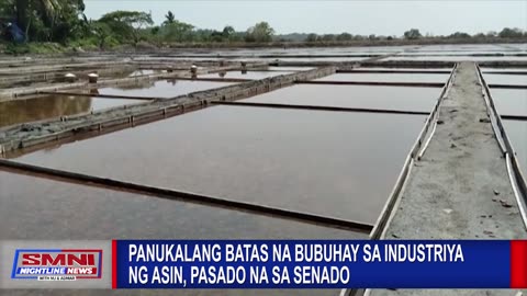 Panukalang batas na bubuhay sa industriya ng asin, pasado na sa Senado