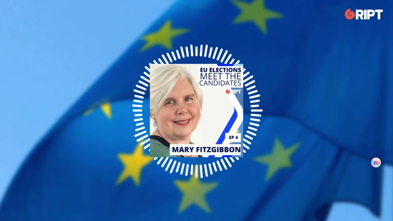 Mary Fitzgibbon-meet the candidates on Gript Media with John McGurk 20-05-24