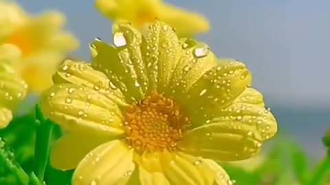 beauty of nature 94