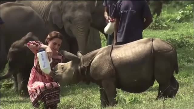 Royal Family Kate & William Feeding Baby Rhinos