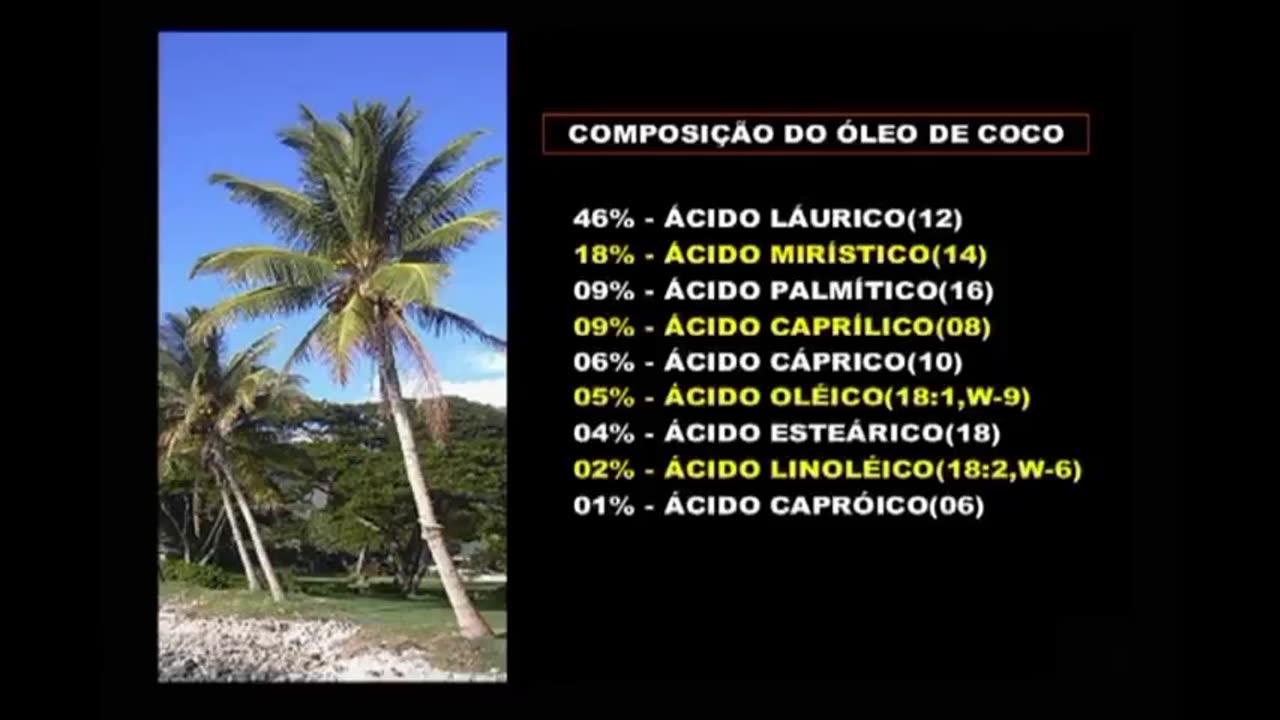 Oleo de Coco e Ovo - Superalimentos!