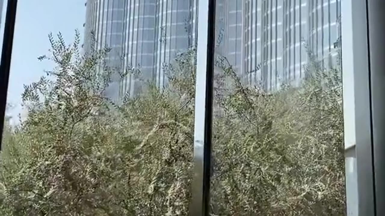 Dubai view and complete attractive building highest world tower buraj khalafa