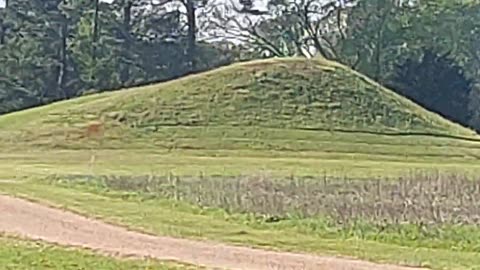 Caddo Mounds Historic Site TX