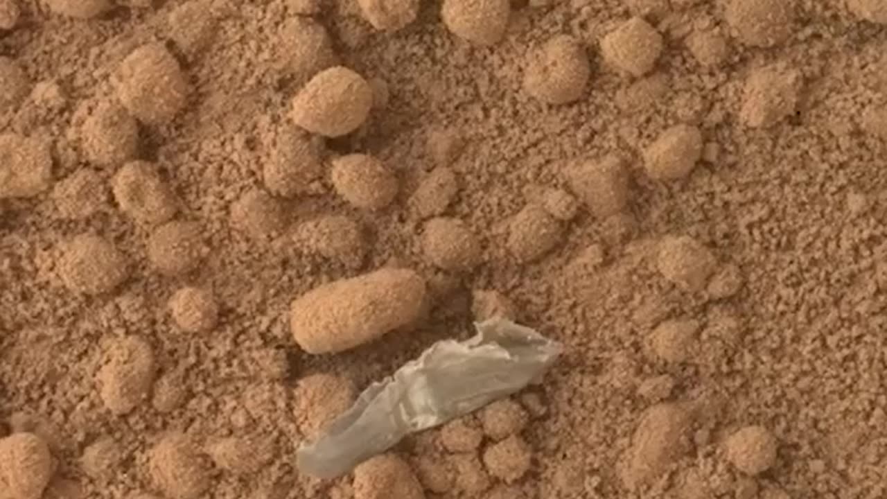 "Detection of Plastic on the planet Mars"