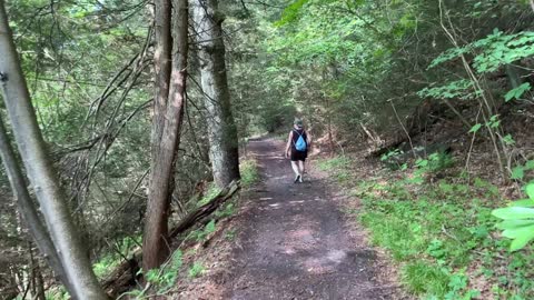 The Flagstaff Mountain Switch Back Trail in Jim Thorpe, PA