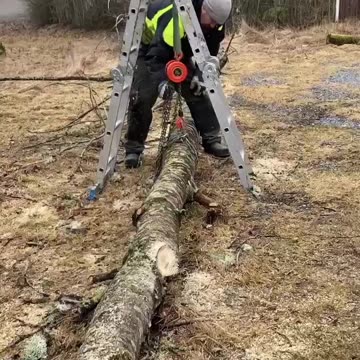 Success! Lifting log before cutting