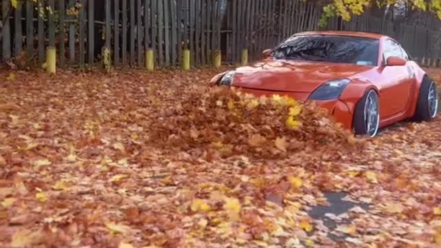 Leaf removal rochester area hit me up