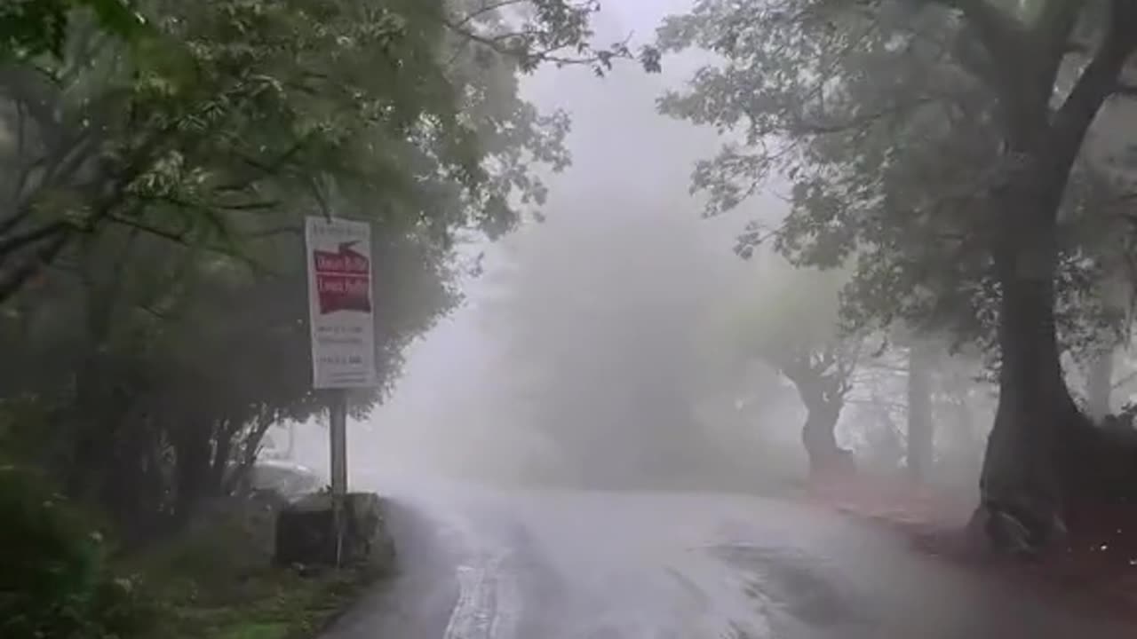 Drive