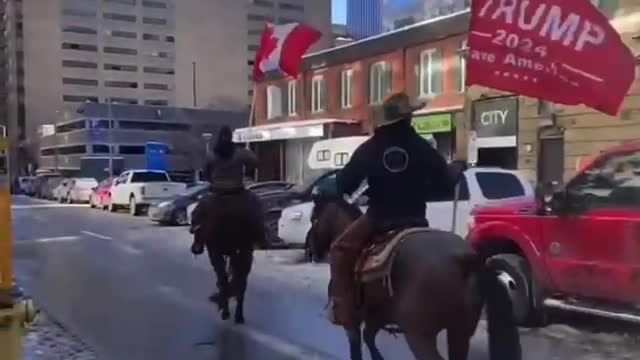 Trump flag brought in by horseback in downtown Ottawa