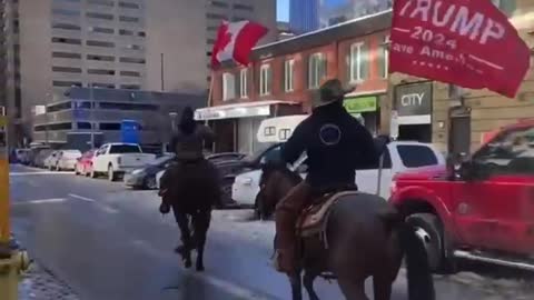 Trump flag brought in by horseback in downtown Ottawa