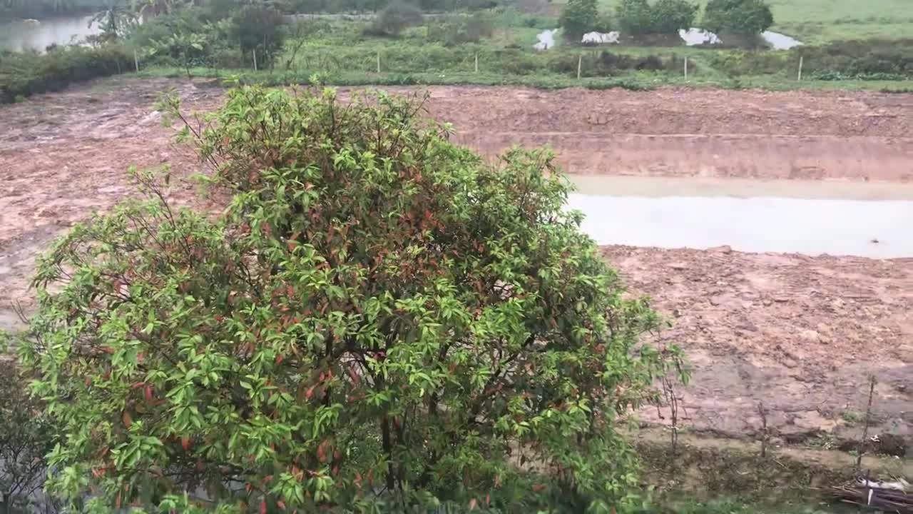 Phong cảnh yên bình ở thôn quê Phong cảnh làng quê Việt Nam