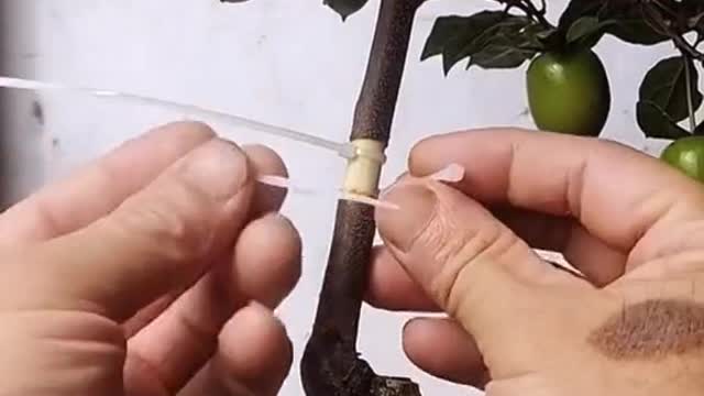 Do you know what this is called?
