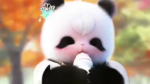 The cute panda