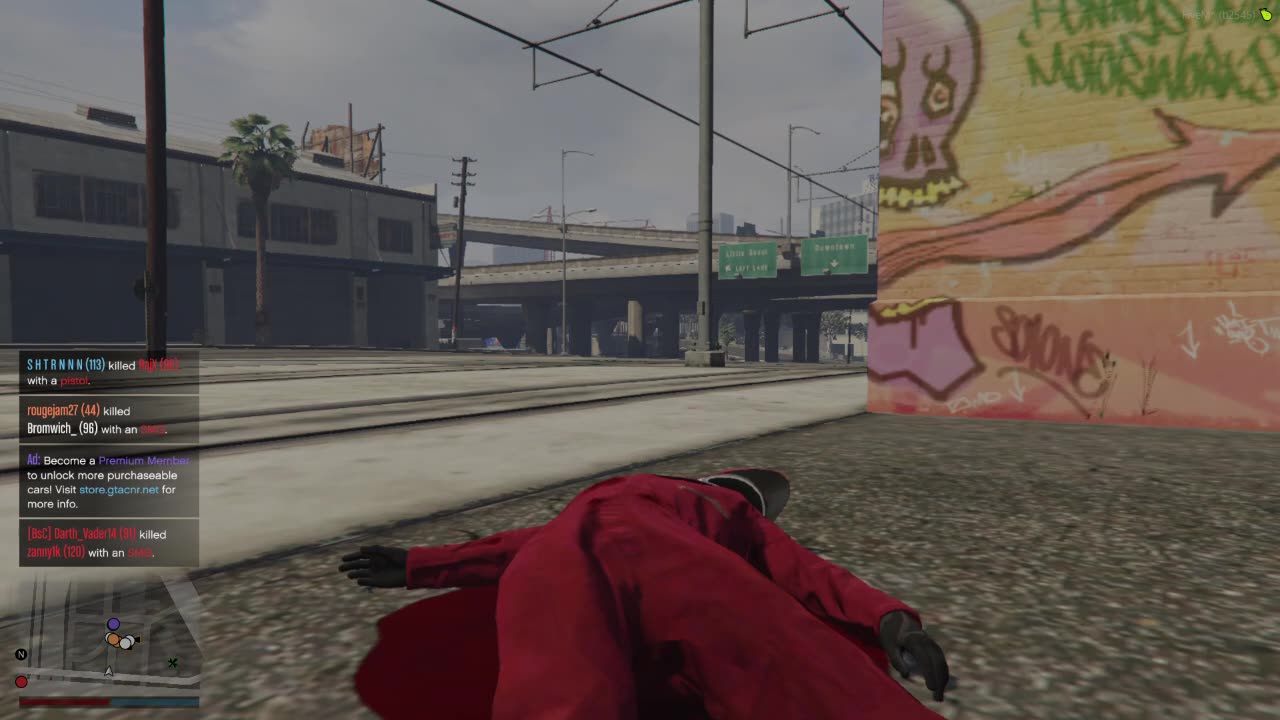 The fiveM experience