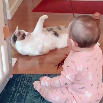 The best of friends #babyandcat #funnycat #funnybaby #cutebaby #cute #meow #fyp>
