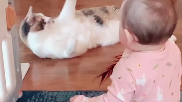 The best of friends #babyandcat #funnycat #funnybaby #cutebaby #cute #meow #fyp>