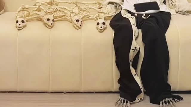 Are you like that tooππ#cat #catsoftiktok #funny #funnyvideos