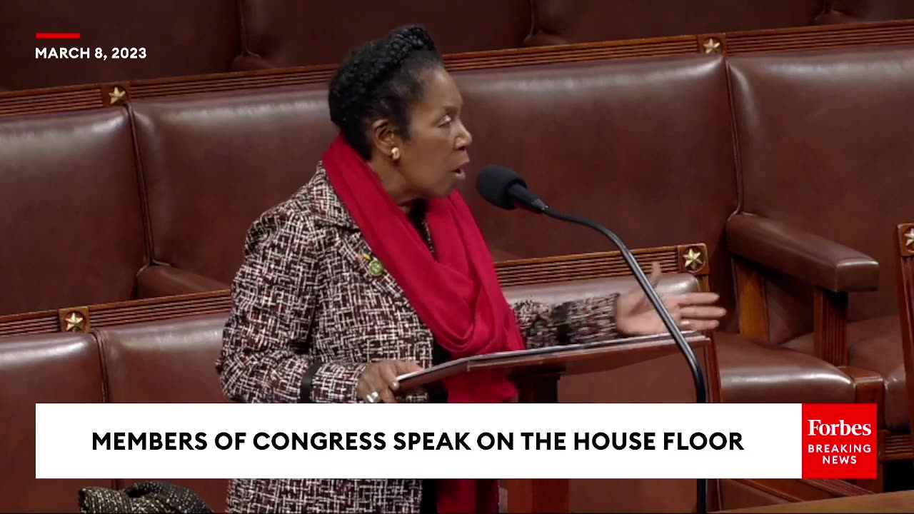 'Steps On The First Amendment Rights Of Our Hard-Working Patriots'- Sheila Jackson Lee
