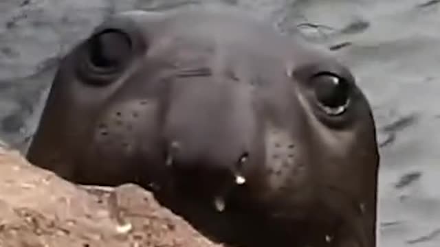 When someone tells me to not be obvious