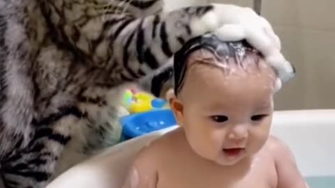 Funny cat with baby