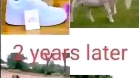 Invest