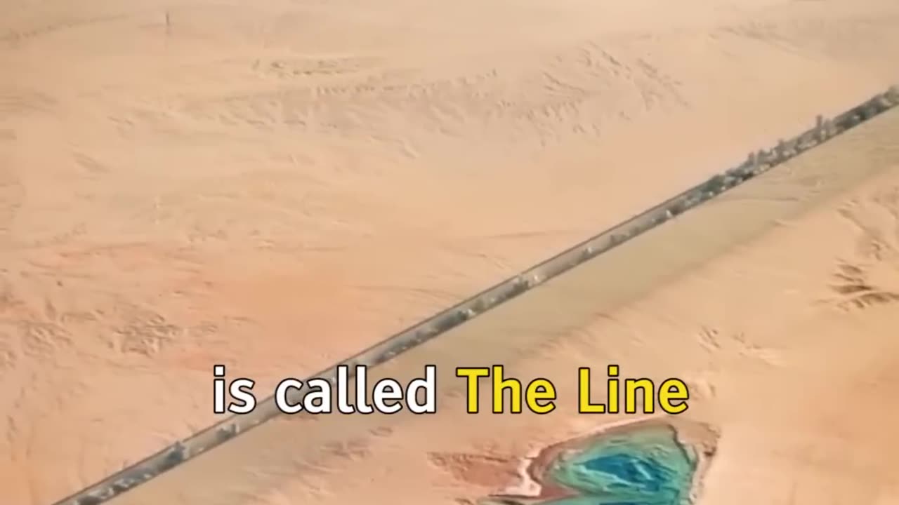 dubai king