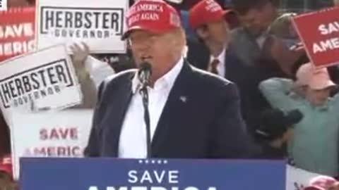 Donald Trump: Raging Tiger, Raging Tiger, Raging Tiger!