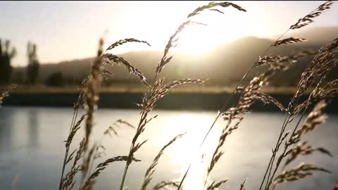 Music to Relax and Meditate / Body, Mind and Soul Wellness.