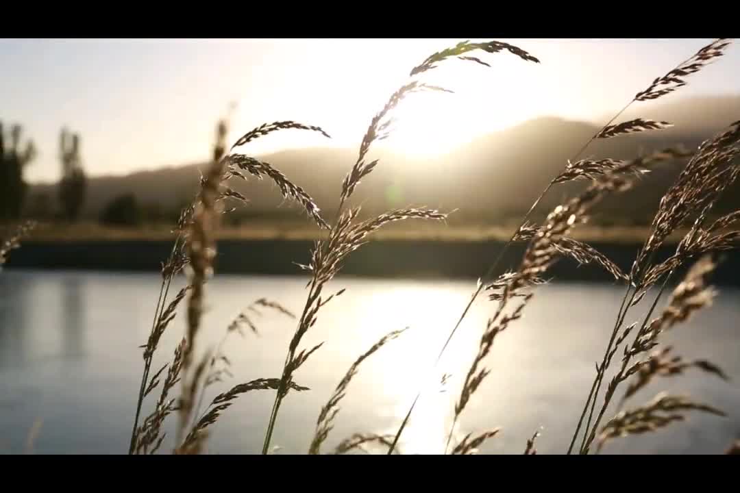 Music to Relax and Meditate / Body, Mind and Soul Wellness.