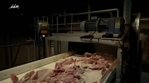 How It's Made: Marshmallow Peeps