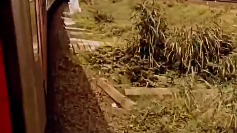Train journey ❤️||Nature world| home peace|| viral video| viral video of train #train #odisha #Viral