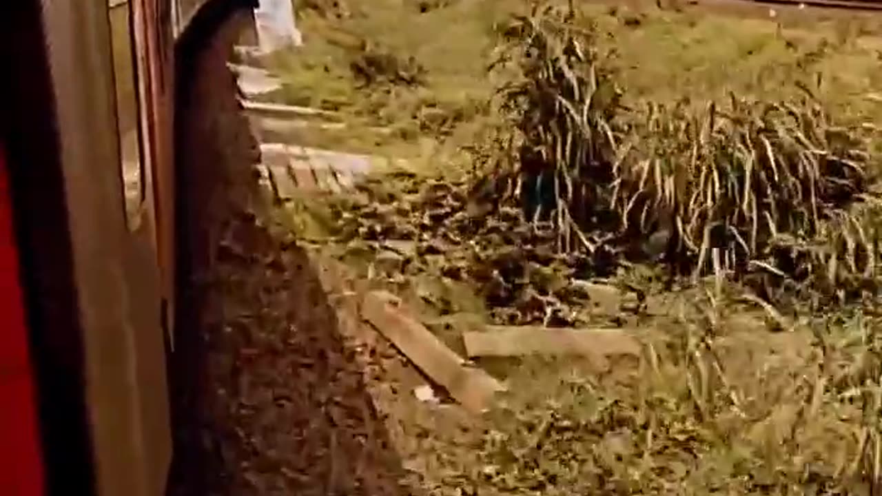 Train journey ❤️||Nature world| home peace|| viral video| viral video of train #train #odisha #Viral