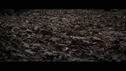I AM LEGEND 2_ LAST MAN ON EARTH - Teaser Trailer (2023) Will Smith _ Teaser PRO's Concept Version