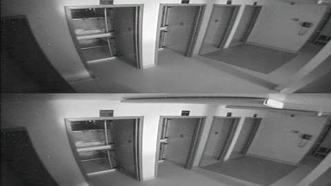 1704CRIB01CribAnalysisArea_2021-01-05_04h00min01s960ms.mp4