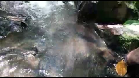 Water Relaxation (Mindfulness)(nature vedio) stress reducing