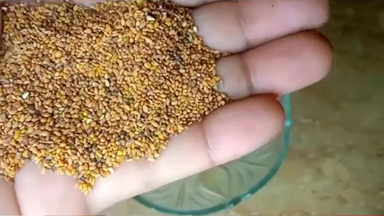 Mardana kamzori ko khatam karne wala majoo. E khaas 2023