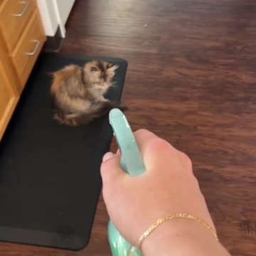 I love the warning shots at the end 😂🤣