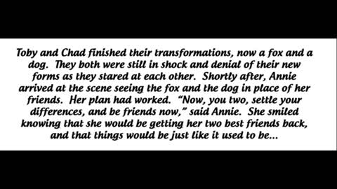 Dog TF 3