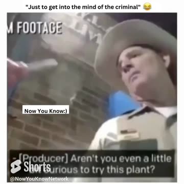 Absolute Classic | Hilarious Police Meme Video | "Just to get into the mind of a criminal"