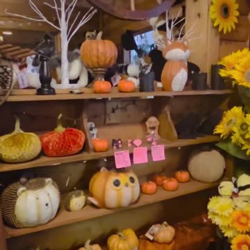 Pumpkin season and Halloween decorations