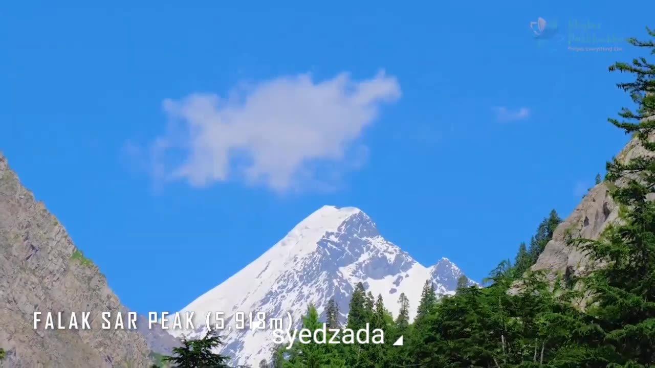 Natural beauty of The Pakistan 🌲🌴 If you are a lover of nature visit 🇵🇰😍
